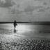 Im Watt zwischen Ebbe und Flut
