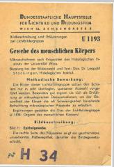Bildbeschreibung und Erläuterungen zur Lichtbildergruppe "U 1193 Gewebe des menschlichen Körpers"