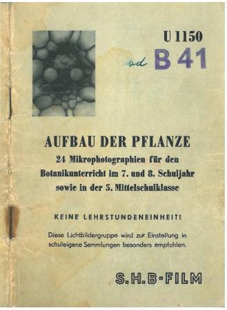 Bildbeschreibung und Erläuterungen zur Lichtbildergruppe "U 1150 Aufbau der Pflanze"
