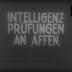 Intelligenzprüfungen an Affen