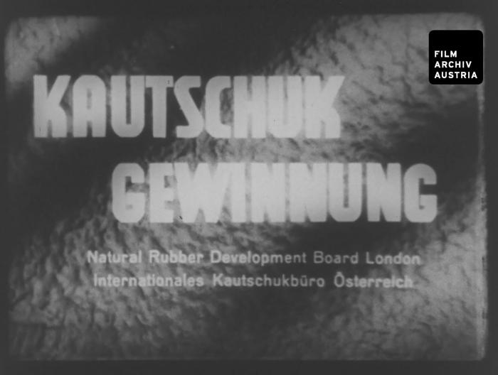 Kautschukgewinnung