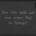 Intelligenzprüfungen an Affen